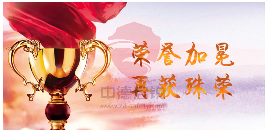 盘点中德启锐2025年度高光时刻，共赴卓越新征途！